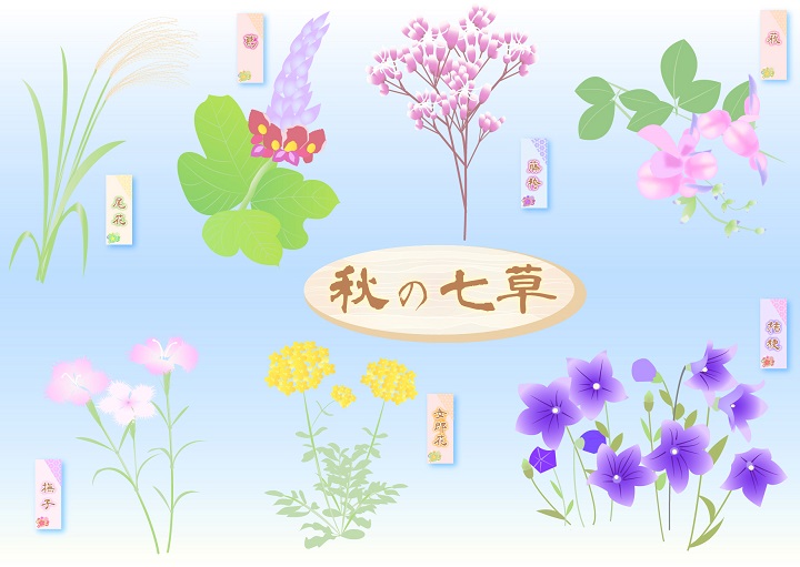 秋の七草 イラスト