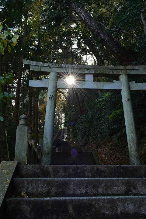 こんぴらさん 時間