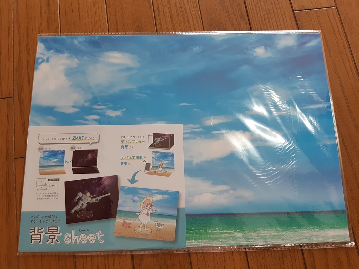 ショーケース フィギュア