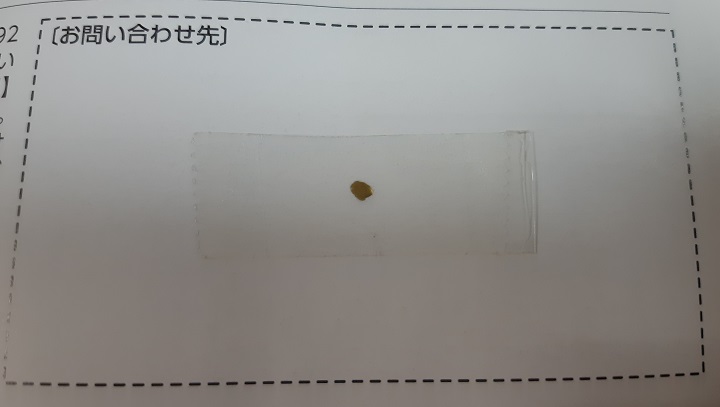 ハイニューガンダム 塗装