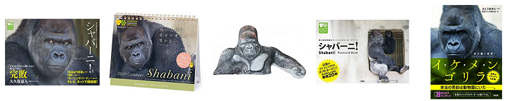 シャバーニ 年齢