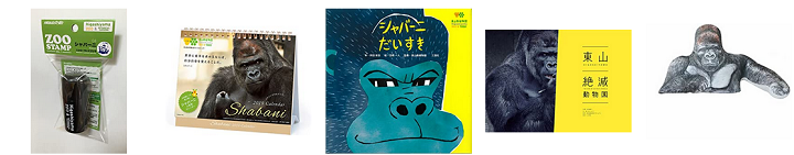 シャバーニ 年齢