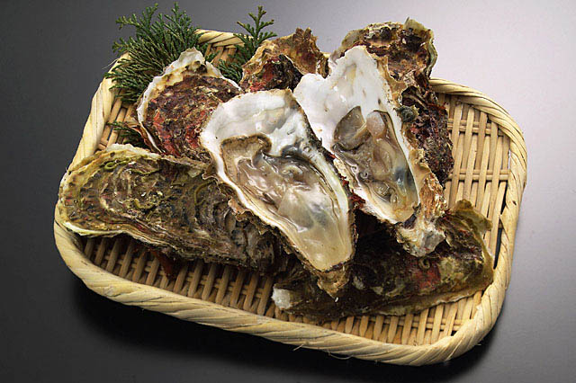 冬 果物