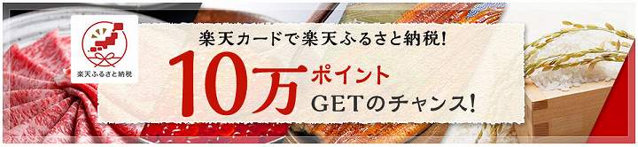 ふるさと納税サイト キャンペーン