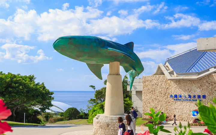 美ら海水族館 割引 ローソン 当日
