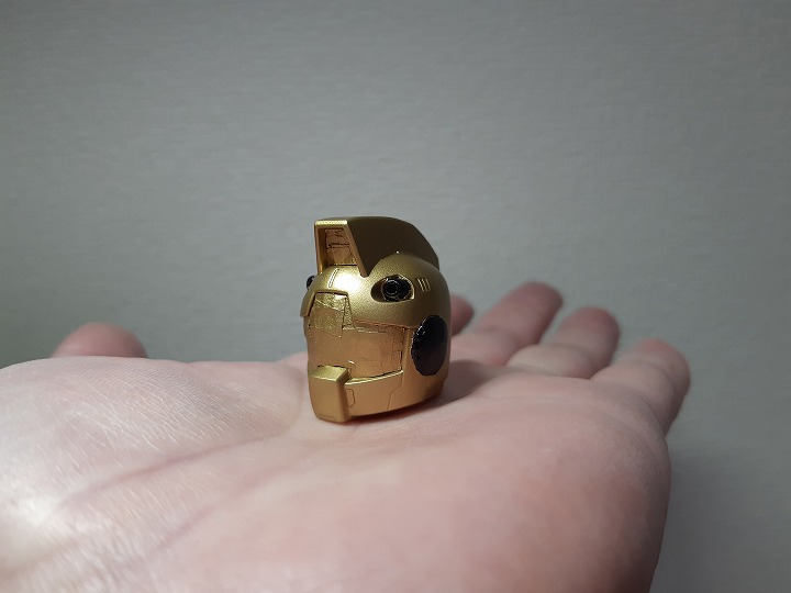 SDCS ジムヘッド 塗装