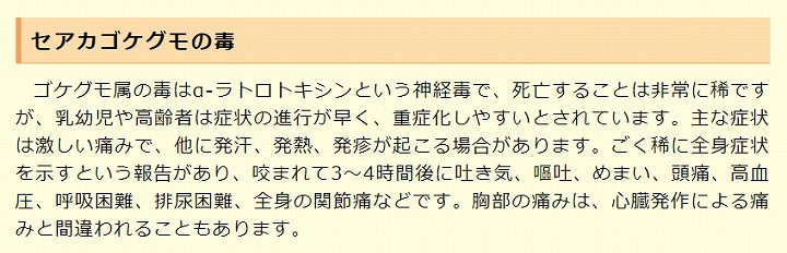 セアカゴケグモ 何科
