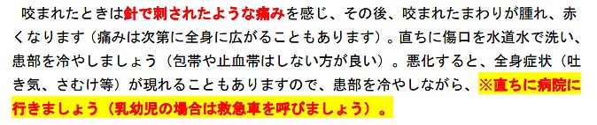 セアカゴケグモ 何科