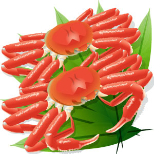 送り付け商法 対応