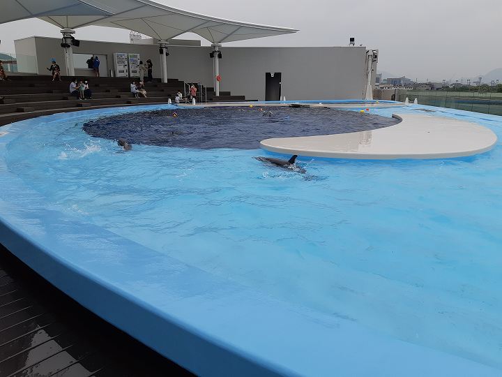 四国水族館 オープン