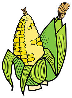 とうもろこし 茹で方レンジ皮付き