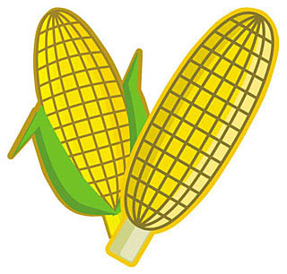 とうもろこし 茹で方レンジ皮付き