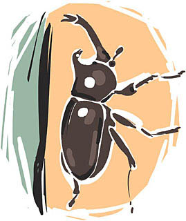 カブトムシ 餌 手作り