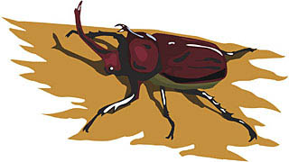 カブトムシ 餌 手作り