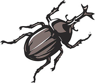 カブトムシ 寿命