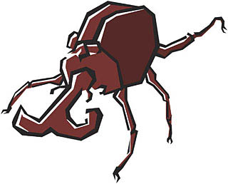 カブトムシ 寿命