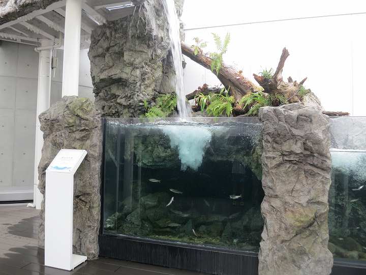 四国水族館 オープン
