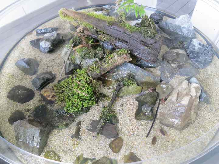 四国水族館 オープン