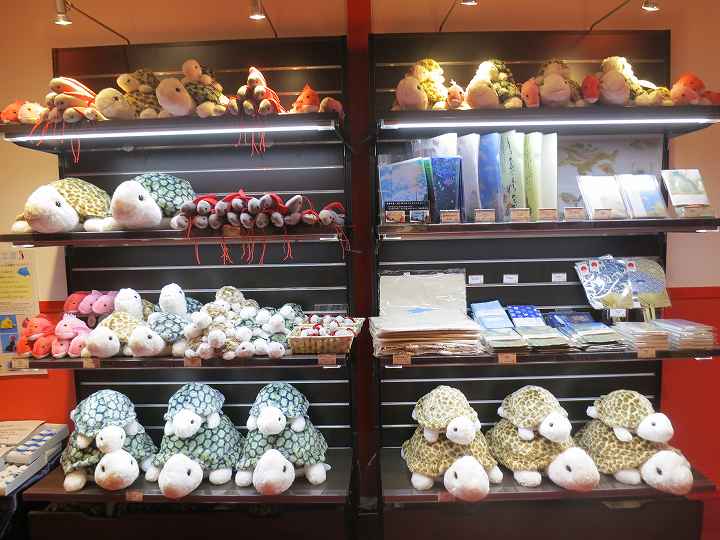 四国水族館 オープン