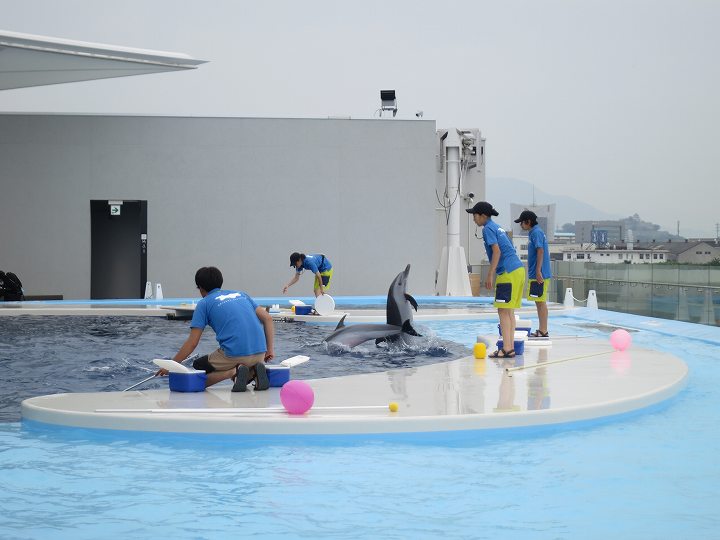 四国水族館 オープン