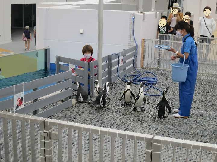 四国水族館 オープン