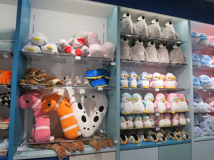 四国水族館 オープン