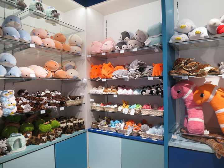 四国水族館 オープン