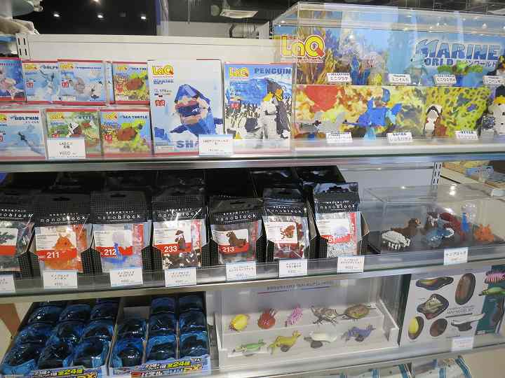 四国水族館 オープン