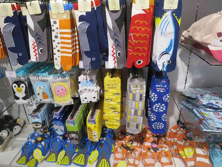 四国水族館 オープン