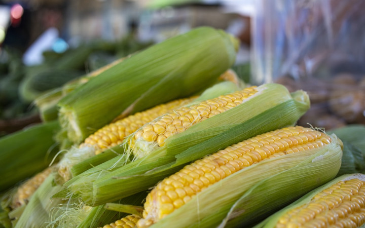 とうもろこし 保存法 冷凍