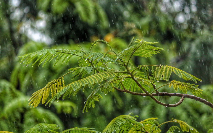 ゲリラ豪雨とは 原因