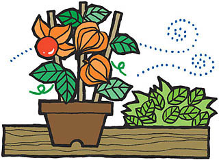 台風 備えておくもの