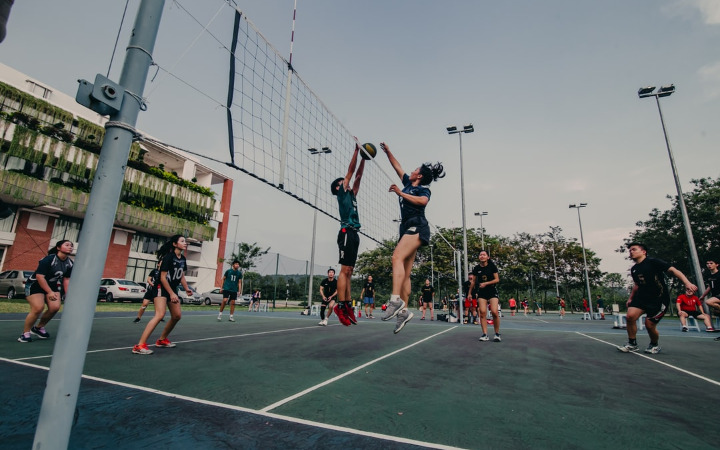 バレーボール ルール 簡単