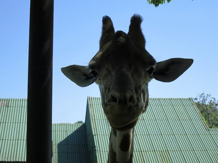 姫路旅行 姫路セントラルパーク