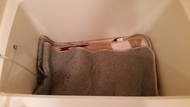 絨毯 洗い方 自宅