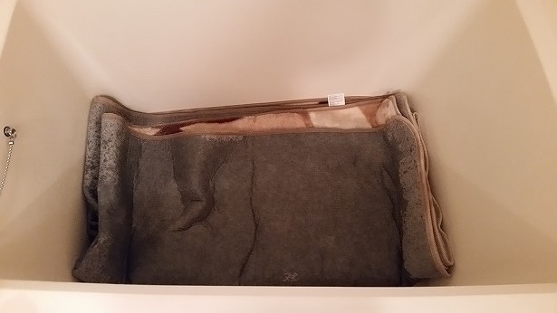 絨毯 洗い方 自宅