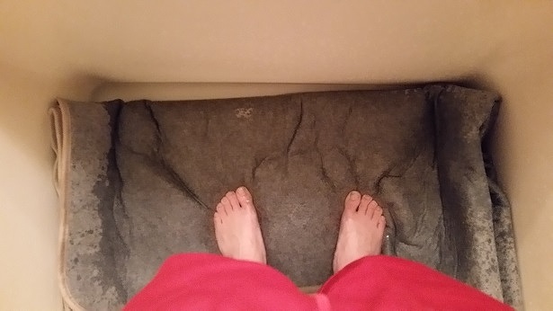 絨毯 洗い方 自宅