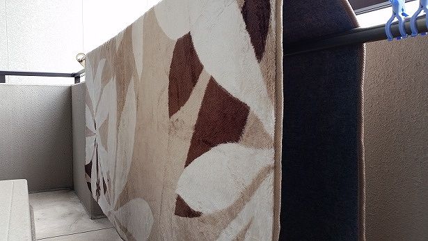 絨毯 洗い方 自宅