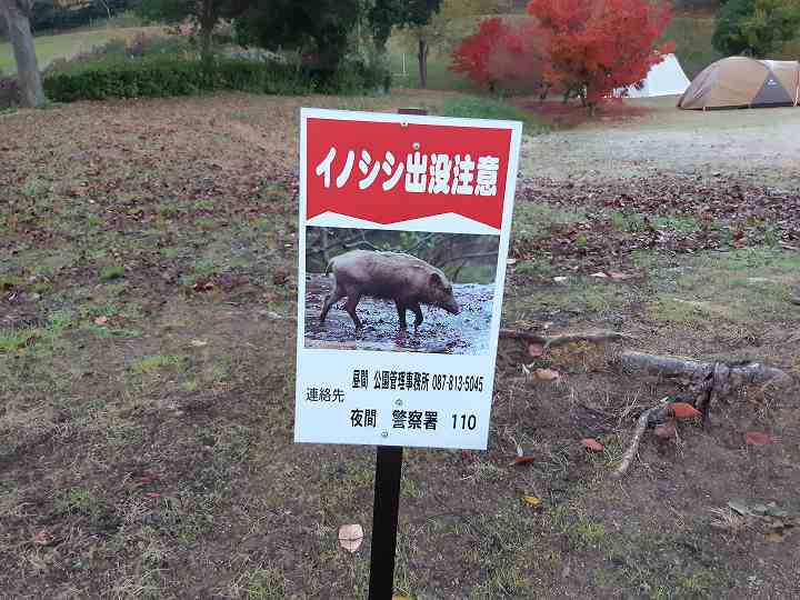 橘ノ丘総合運動公園キャンプ場