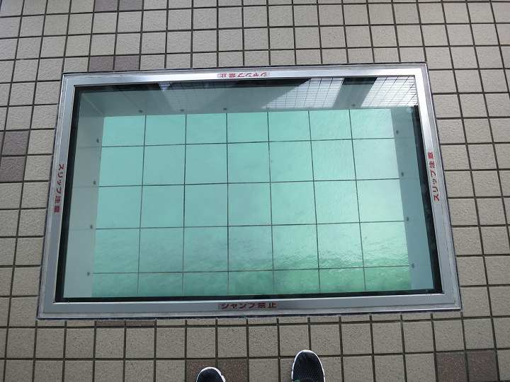 渦の道 ホームページ