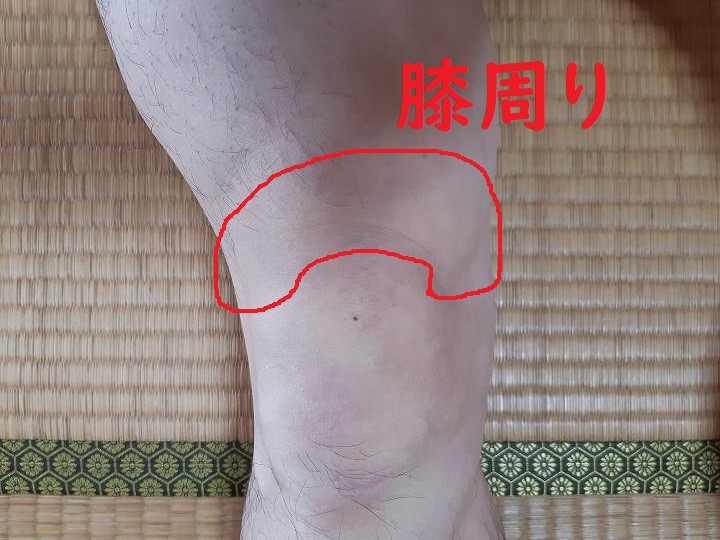 30代 40代 バレーボール