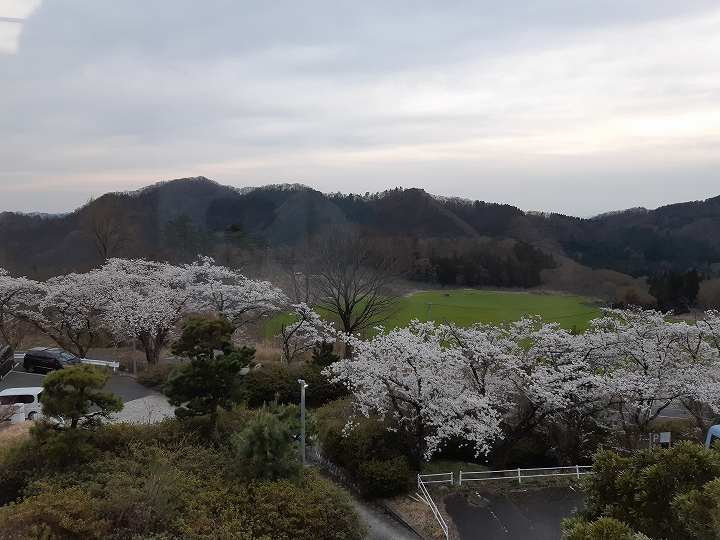 さひめ野 口コミ