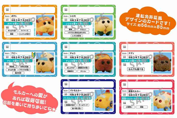 モルカー ブルーレイ 特典