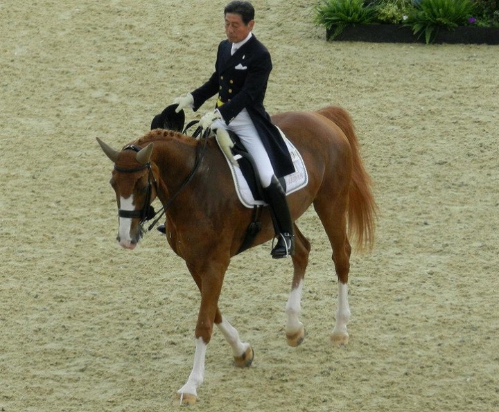 馬術 オリンピック 最高齢