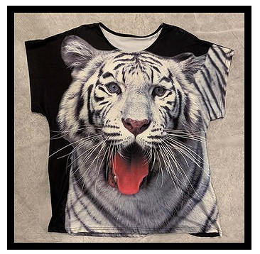 なにわ小町 大阪 通販