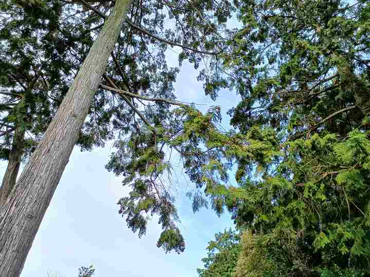 まんのう町健康ふれあいの里オートキャンプ場