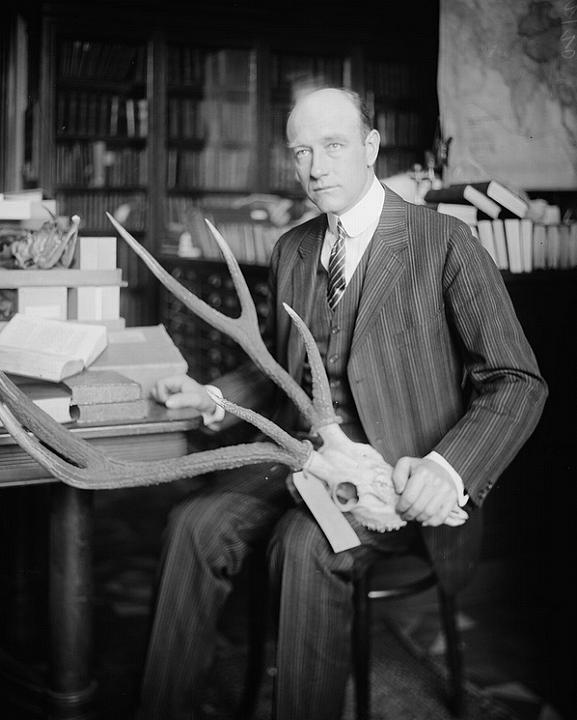 恐竜の日 いつ 由来