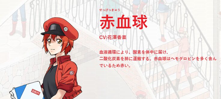 花澤香菜 キャラ 一覧 はたらく細胞 赤血球
